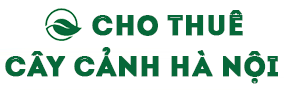 Cho Thuê Cây – Cây Cảnh Hà Nội